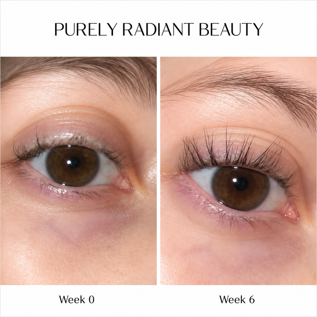 Purely Radiant Beauty eyelash serum before and after - Week 0 vs Week 6 results