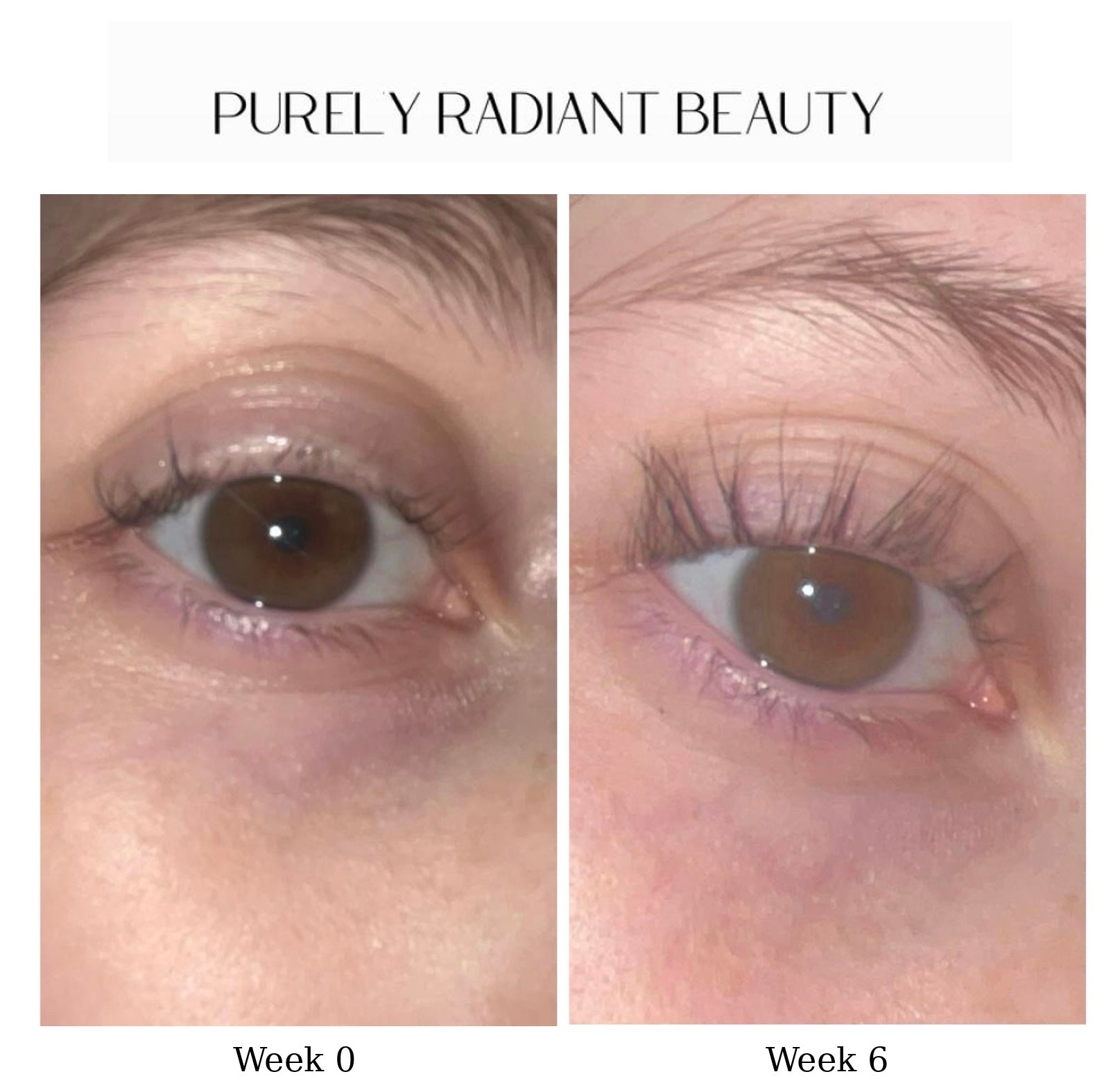 Organic Eyelash & Eyebrow Growth Serum